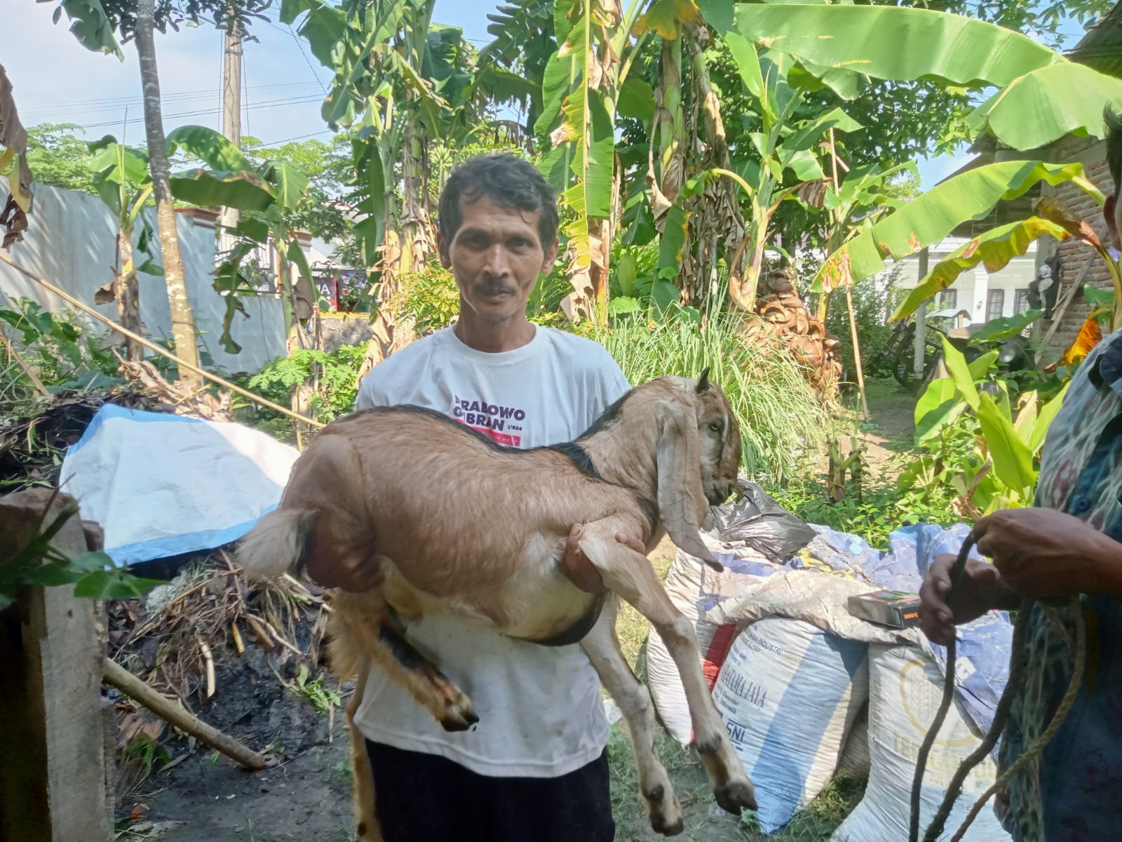 Keteguhan di Balik Butir Kelapa: Kisah Perjuangan Mukhlasin